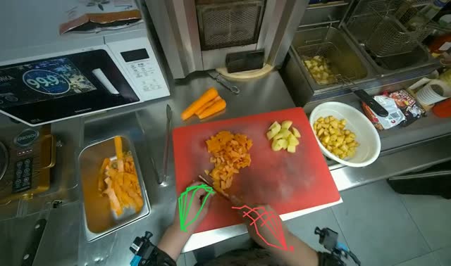Chopping carrots: egocentric robotics sample