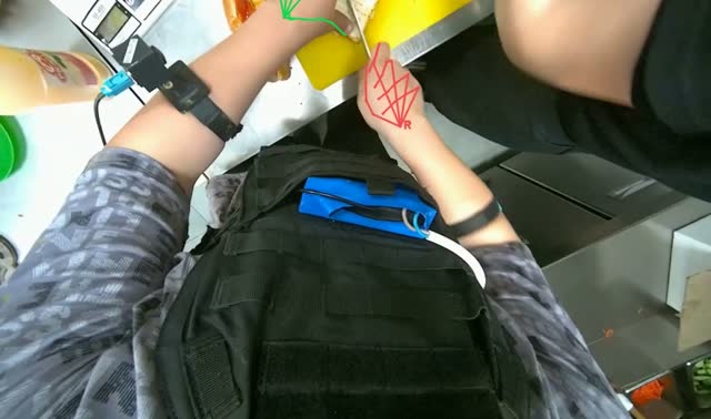 Preparing and arranging toasted sandwiches: egocentric robotics sample