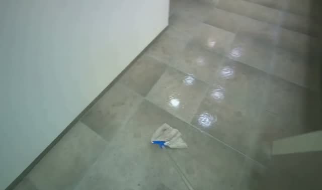 Mopping restroom floor: egocentric robotics sample
