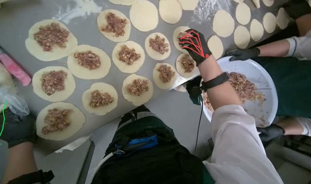 Placing meat filling onto dough circles: egocentric robotics sample