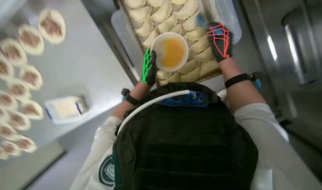 Brushing dumplings with egg wash: egocentric robotics sample