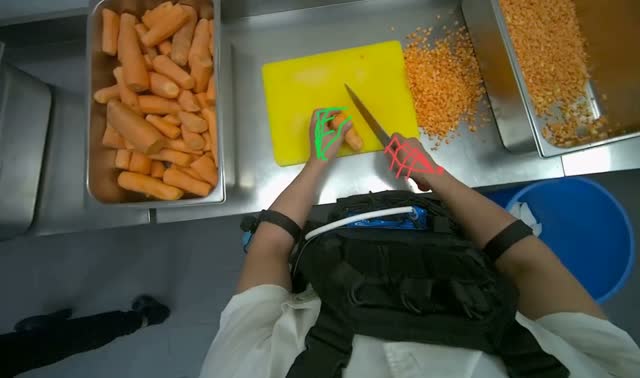 Dicing carrots on cutting board: egocentric robotics sample