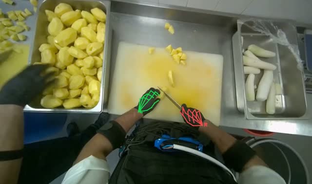 Cutting potatoes into pieces: egocentric robotics sample