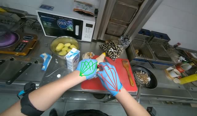 Preparing instant noodles: egocentric robotics sample