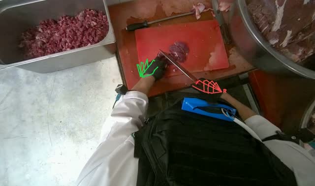 Cutting and transferring meat: egocentric robotics sample