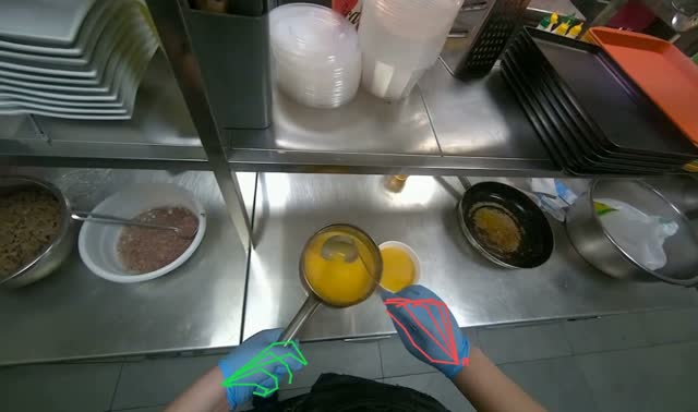 Chopping onions and arranging meal in white dish: egocentric robotics sample