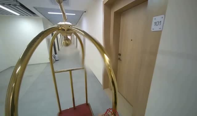 Pushing empty luggage cart: egocentric robotics sample