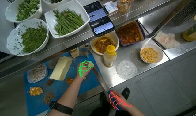 Preparing ingredients for noodle bowl: egocentric robotics sample