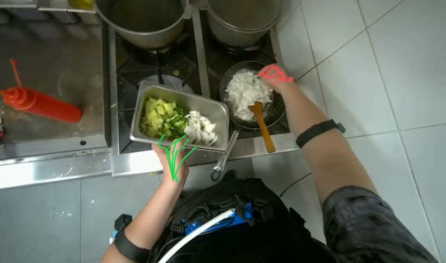 Sautéing and seasoning vegetables: egocentric robotics sample