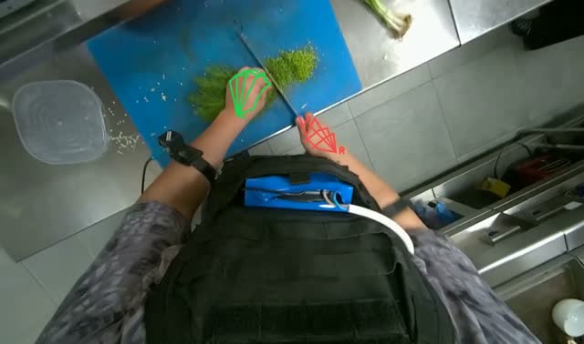 Chopping green herbs on cutting board: egocentric robotics sample