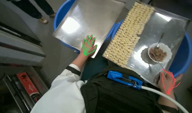 Filling dough pieces with meat: egocentric robotics sample