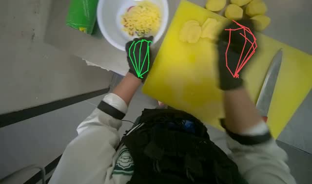 Chopping potatoes: egocentric robotics sample