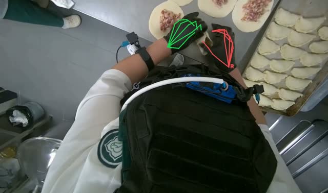 Making meat dumplings: egocentric robotics sample