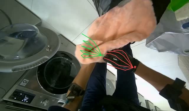 Loading clothes into washing machines: egocentric robotics sample