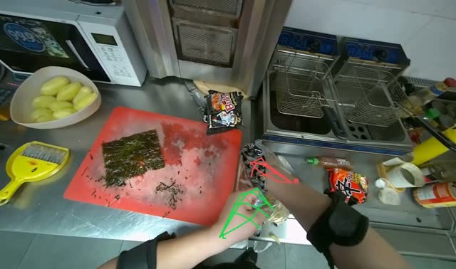 Loading french fries into deep fryer: egocentric robotics sample