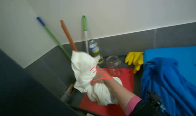 Sorting cleaning supplies: egocentric robotics sample