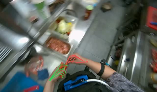 Peeling sausages and placing in fryer: egocentric robotics sample