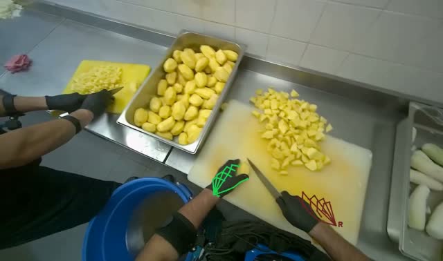 Cutting potatoes on board: egocentric robotics sample
