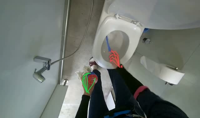 Cleaning a toilet bowl and seat: egocentric robotics sample
