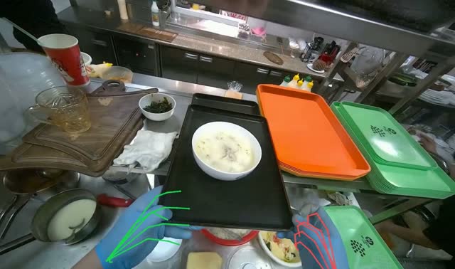 Carrying and placing bowl: egocentric robotics sample