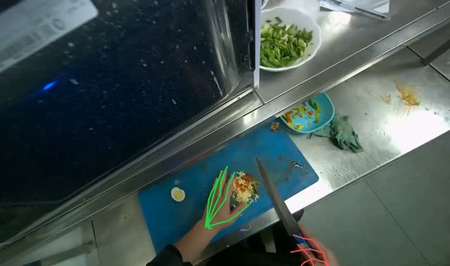 Stir-frying ingredients in pan: egocentric robotics sample