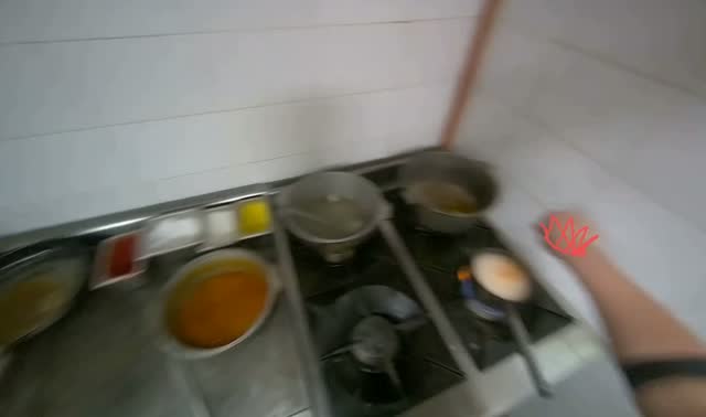 Cooking ingredients on stove: egocentric robotics sample