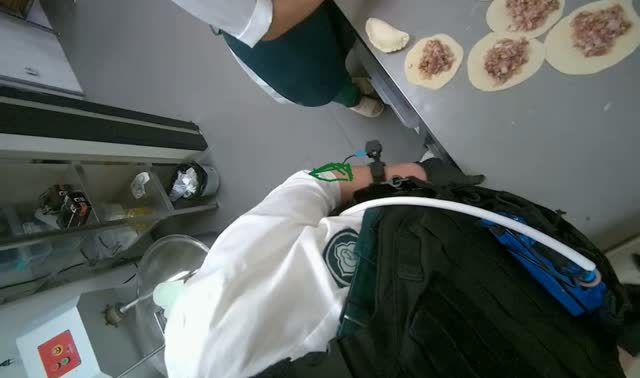 Folding meat-filled dough into dumplings: egocentric robotics sample