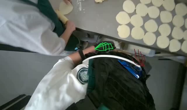 Flattening dough for dumplings: egocentric robotics sample