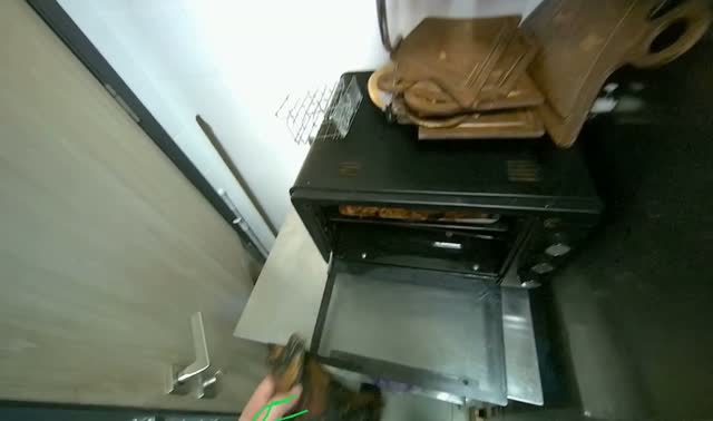 Checking and adjusting food in oven: egocentric robotics sample