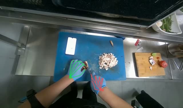 Assembling noodle bowls with garnishes: egocentric robotics sample