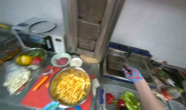 Preparing french fries: egocentric robotics sample