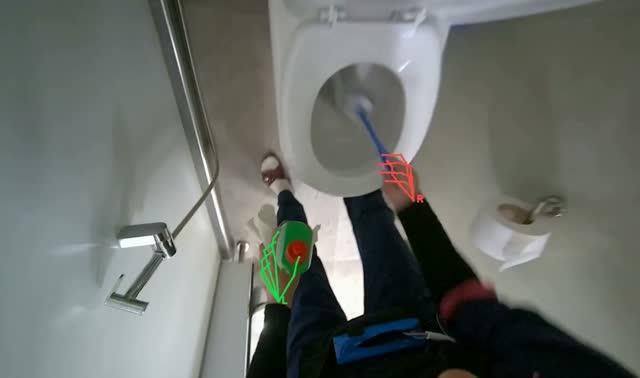 Cleaning toilet bowl and seat: egocentric robotics sample