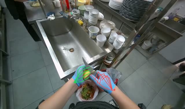 Peeling vegetable with knife: egocentric robotics sample