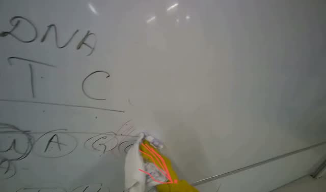 Wiping whiteboard: egocentric robotics sample