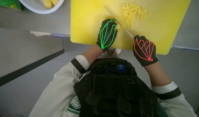 Slicing potatoes: egocentric robotics sample