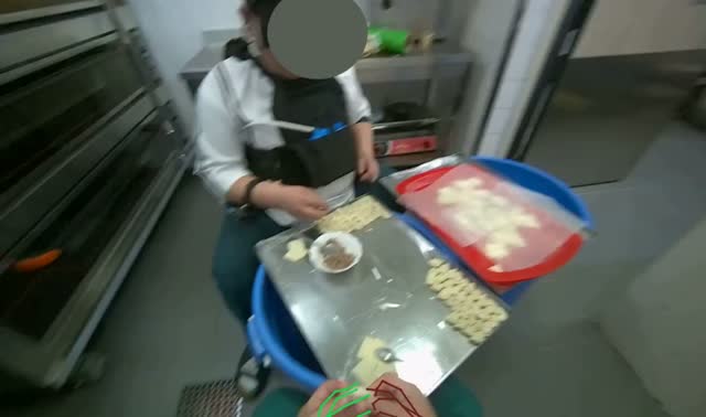 Making dumplings: egocentric robotics sample