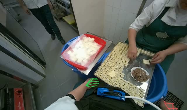 Making dumplings with meat filling: egocentric robotics sample