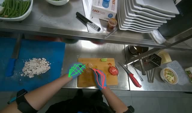 Peeling ingredients for salad: egocentric robotics sample