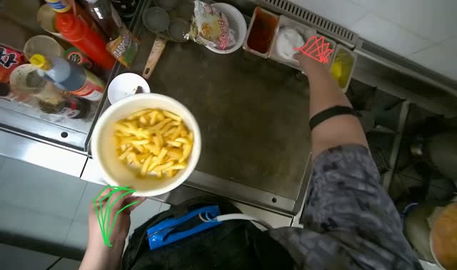 Serving fries onto plate: egocentric robotics sample