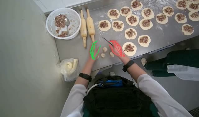 Forming dough into circles: egocentric robotics sample
