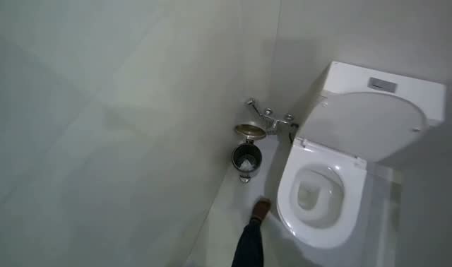 Collecting trash and cleaning restrooms: egocentric robotics sample