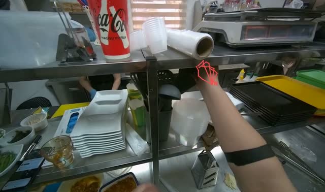 Preparing noodles on plate: egocentric robotics sample