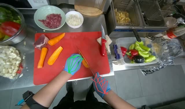 Chopping carrots on cutting board: egocentric robotics sample