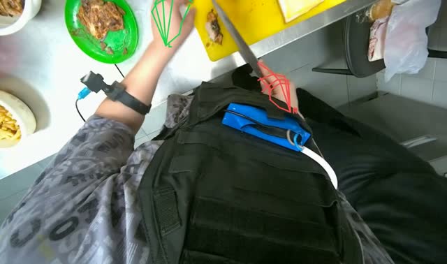 Preparing meat sandwiches: egocentric robotics sample
