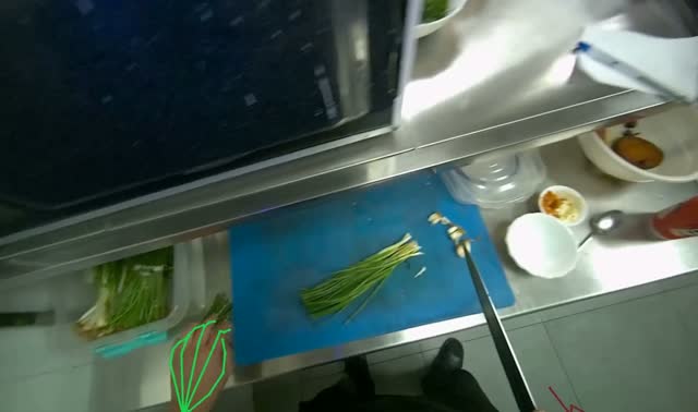 Preparing and chopping green onions: egocentric robotics sample