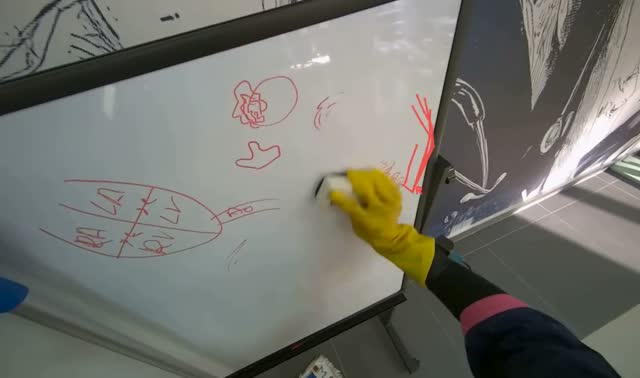 Cleaning the whiteboard: egocentric robotics sample