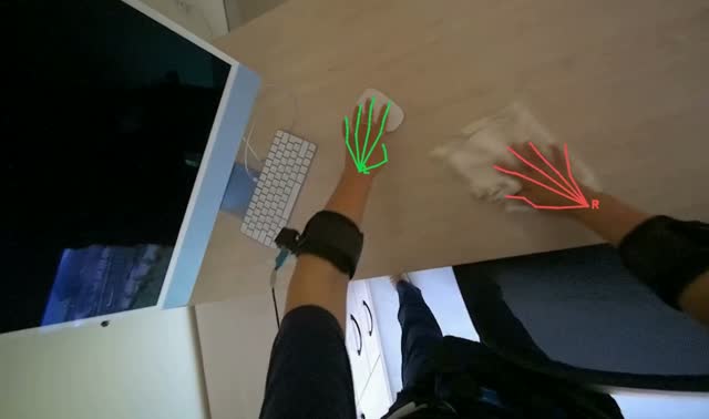 Wiping office desk: egocentric robotics sample