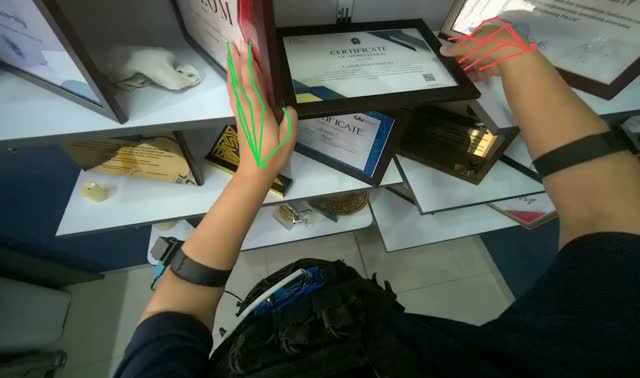 Cleaning and organizing display shelves: egocentric robotics sample