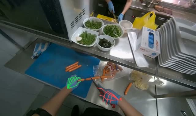 Cutting sausages on cutting board: egocentric robotics sample