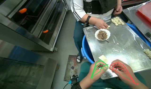 Preparing dumplings with filling: egocentric robotics sample